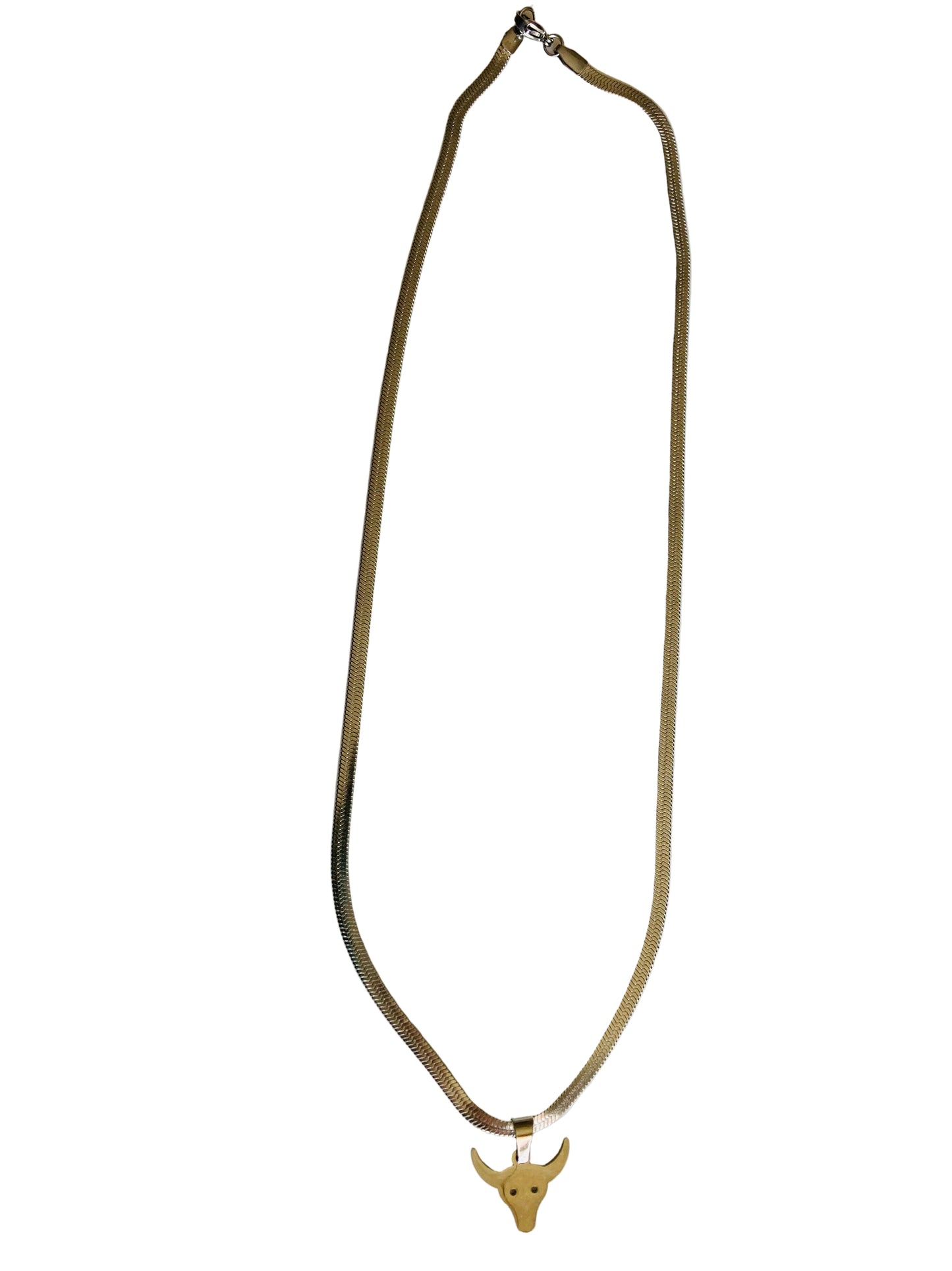 Collar Toro plateado