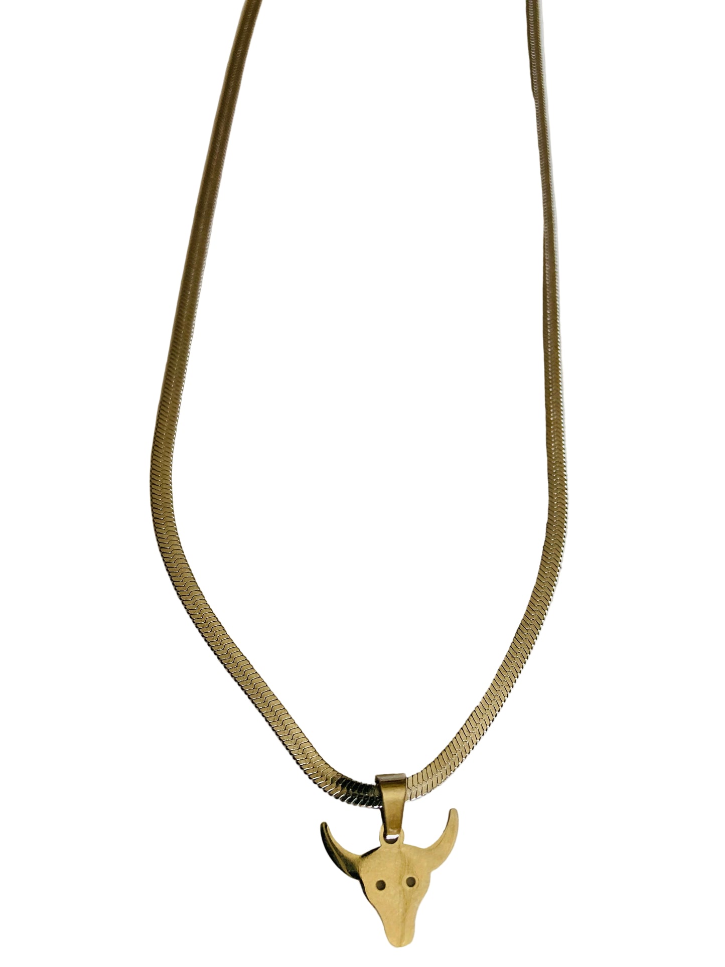 Collar Toro plateado