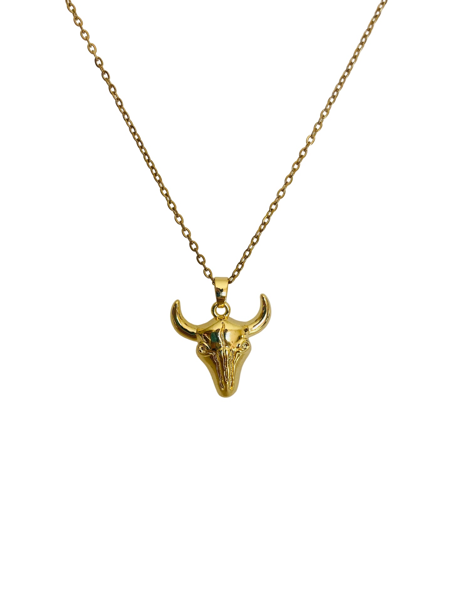 Collar toro liso