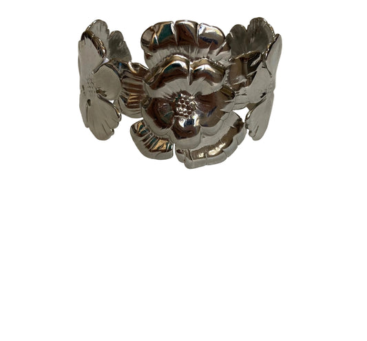 A Ale brazalete